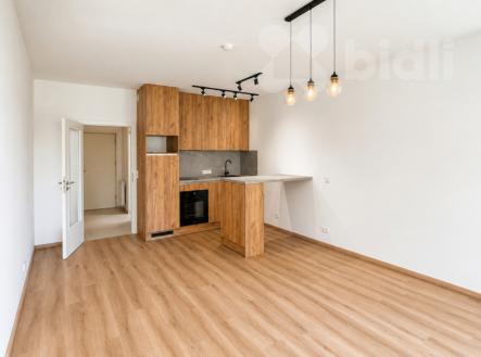 Pronájem bytu, 1+kk, 37 m²