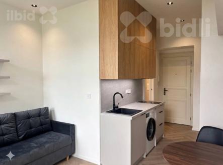 Pronájem bytu, 1+kk, 21 m²