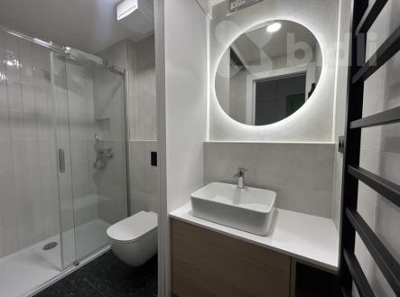 Pronájem bytu, 1+kk, 21 m²