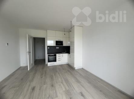 Pronájem bytu, 1+kk, 33 m²