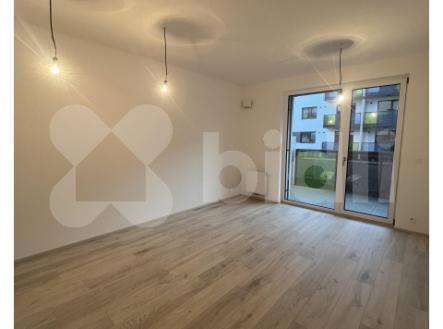 Pronájem bytu, 1+kk, 33 m²