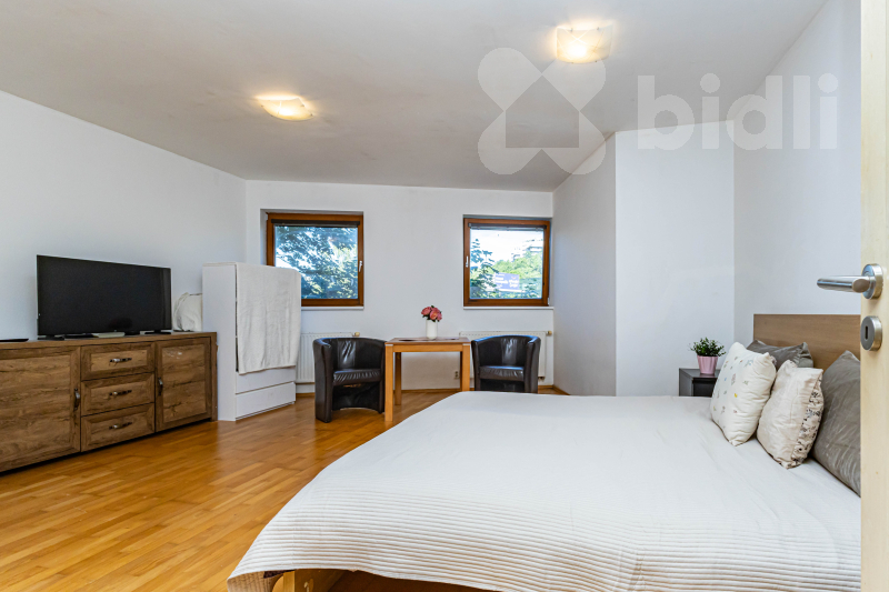 Světlý byt 1+1, 45 m2 + GS, Praha - Radlice