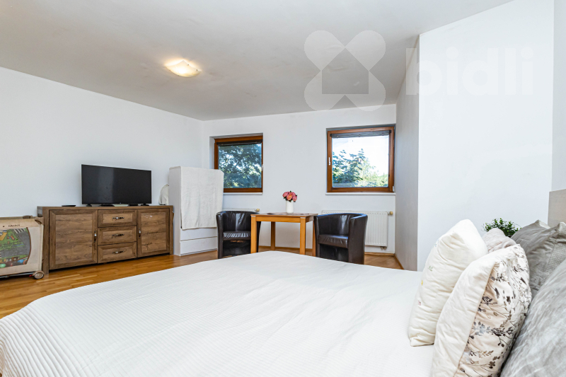 Světlý byt 1+1, 45 m2 + GS, Praha - Radlice