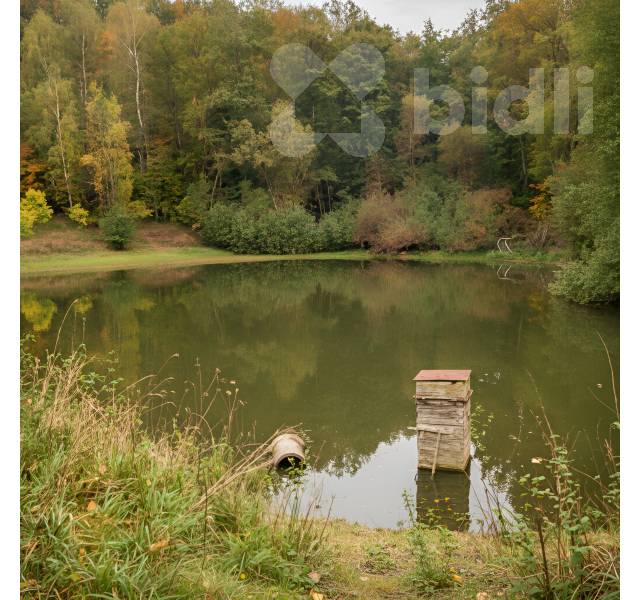 Zahrada s chatou u rybníka Kortusák - Žlutice 489 m2