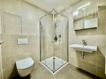 Pronájem bytu, 1+kk, 47 m²