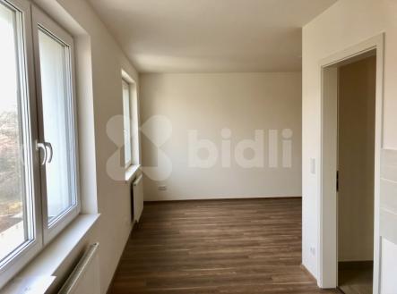 Pronájem bytu, 1+kk, 40 m²