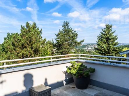 Pronájem domu/vily, 379 m²