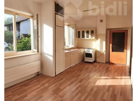 Prodej bytu, 4+1, 88 m²
