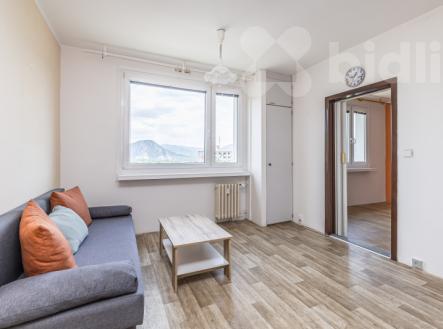 Prodej bytu, 1+1, 33 m²