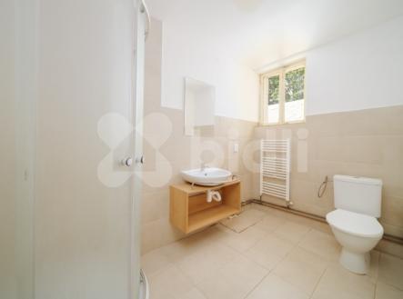 Pronájem bytu, 1+1, 36 m²