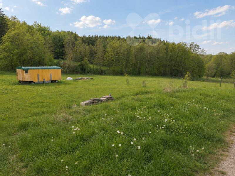 Střeleč