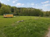 Prodej pozemku, trvalý travní porost, 3 165 m²