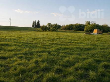 Prodej pozemku, trvalý travní porost, 3 165 m²