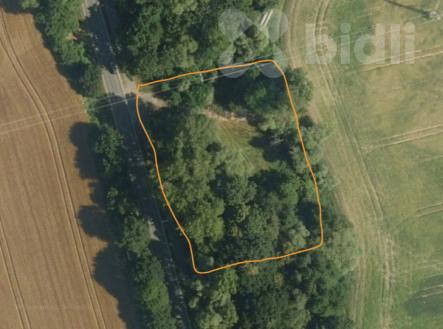 Pronájem pozemku, trvalý travní porost, 3 000 m²