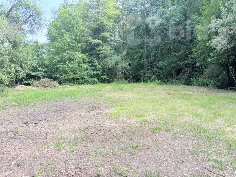 Pronájem částečně oplocené travnaté plochy o velikosti zhruba 3000m2 s panelovým vjezdem ze silnice