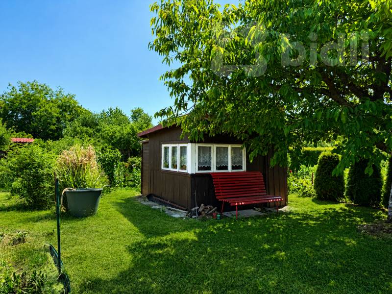 Prodej zahrady 289 m2 s chatkou - Pardubice, Nové Jesenčany