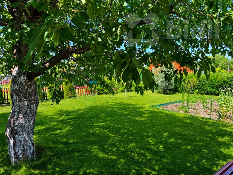 Prodej zahrady 289 m2 s chatkou - Pardubice, Nové Jesenčany