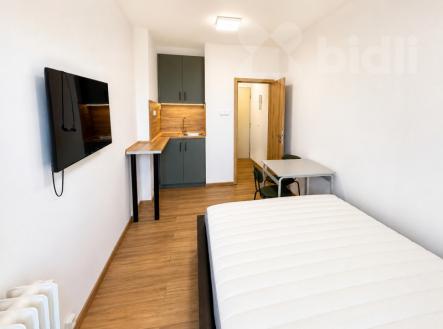 Pronájem bytu, 1+kk, 17 m²