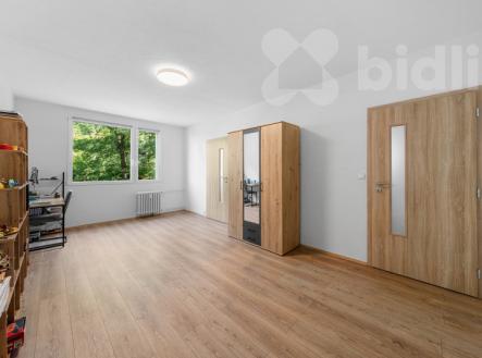 Prodej bytu 3+1, 78 m2, DV, Jirkov, ul. Pionýrů