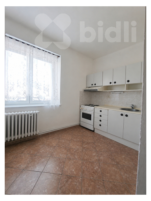 Pronájem bytu 1+1, 38,5 m2, Skuhrov nad Bělou