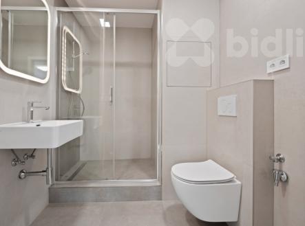 Pronájem bytu, 2+kk, 45 m²