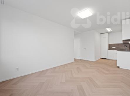 Pronájem bytu, 2+kk, 45 m²