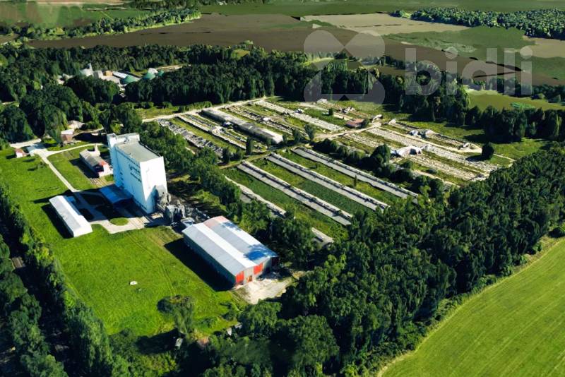 Komerční pozemek 4075 m2 u Třeboně