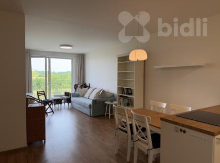 Pronájem bytu, 2+kk, 60 m²