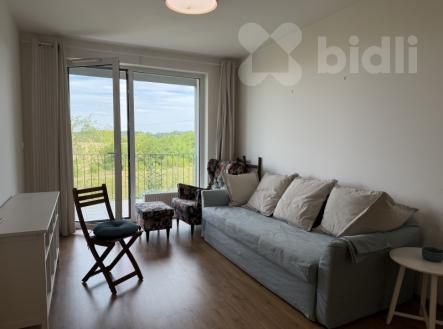Pronájem bytu, 2+kk, 60 m²