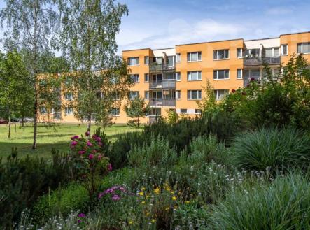 Prodej bytu, 2+kk, 50 m²