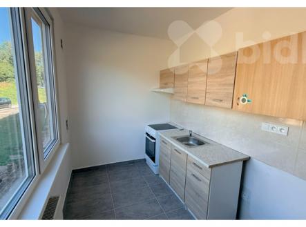 Pronájem bytu, 1+1, 35 m²