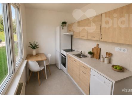 Pronájem bytu, 1+1, 35 m²