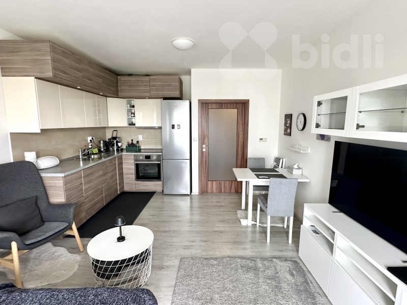 Pronájem byt 1+kk, 38m2, Pardubice, U Vinice