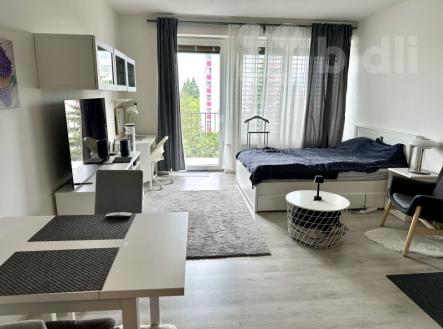 Pronájem bytu, 1+kk, 38 m²