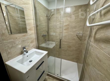 Pronájem bytu, 1+1, 38 m²
