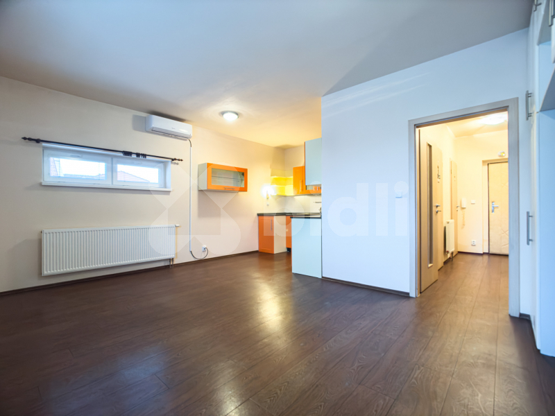 Prostorný byt 1+kk, 43 m2, Tlučná