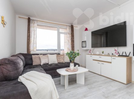 Byt 3+1, 62 m2, Nové Sedlo