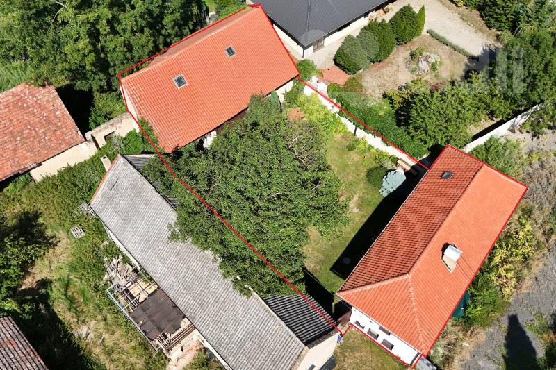 Lešany