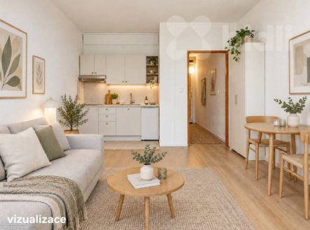 Prodej bytu, garsoniéra, 35 m², Hradec Králové – náhled fotky 3