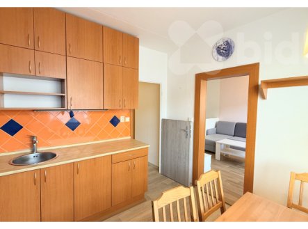 Pronájem bytu, 1+1, 40 m²