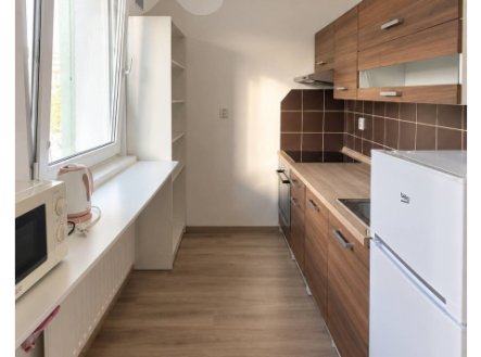 Pronájem bytu, 1+1, 39 m²