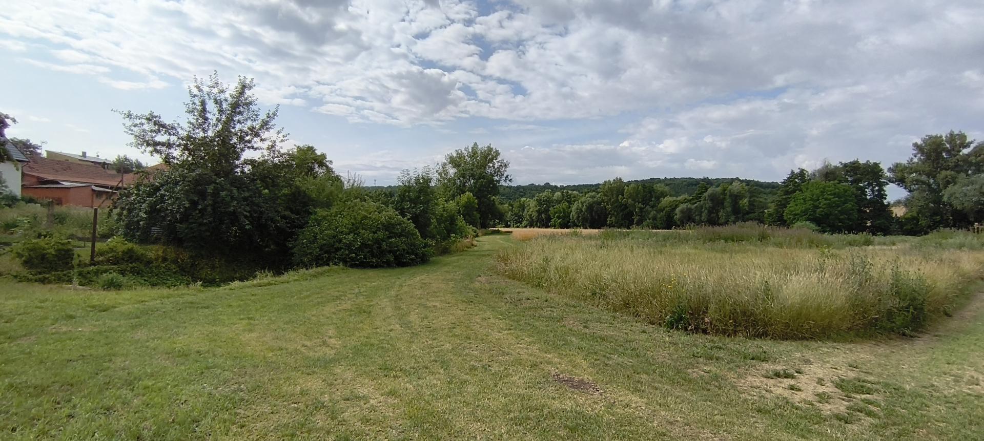 IMG_20250716_093748 - 1.jpg