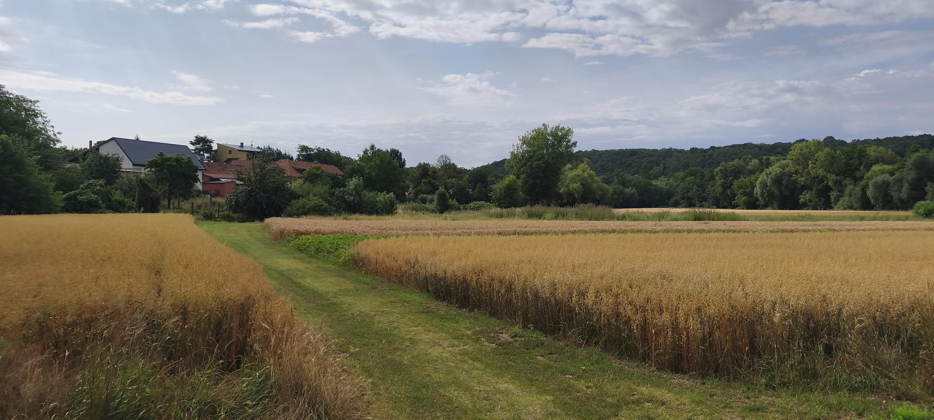 IMG_20250716_093634 - 3.jpg