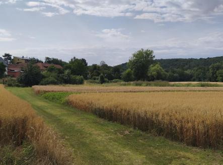 Prodej pozemku, zahrada, 2 079 m²