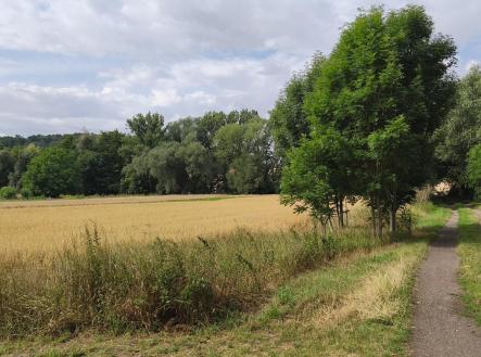 Prodej pozemku, zahrada, 2 079 m²