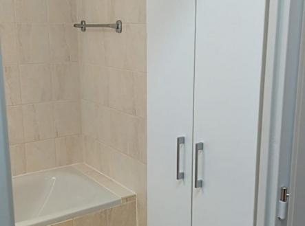 Pronájem bytu, 2+1, 55 m²