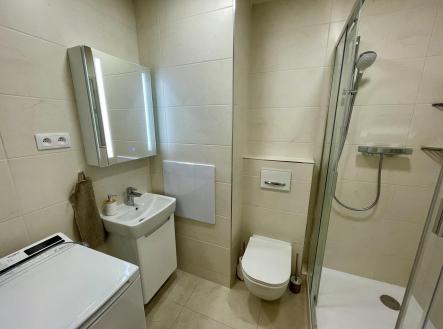 Pronájem bytu, 3+kk, 54 m²