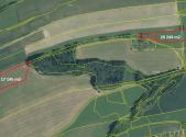 Prodej pozemku, trvalý travní porost, 37 389 m²
