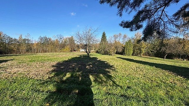 IMG_5711 titul prostrřední