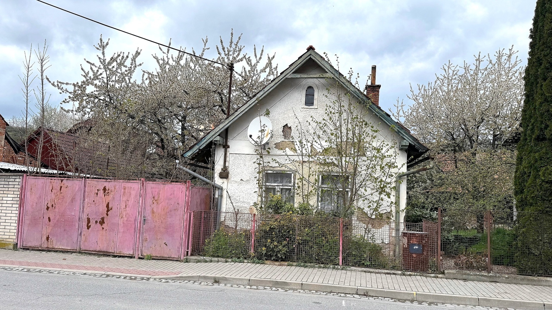 IMG_7889 U